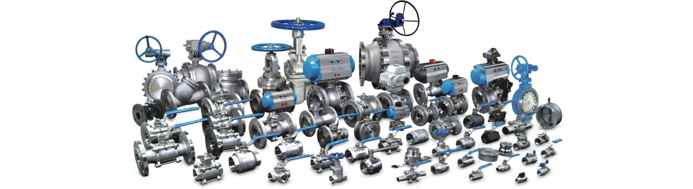 Anix Valve Usa - Stainless Steel & Cast Steel Valve