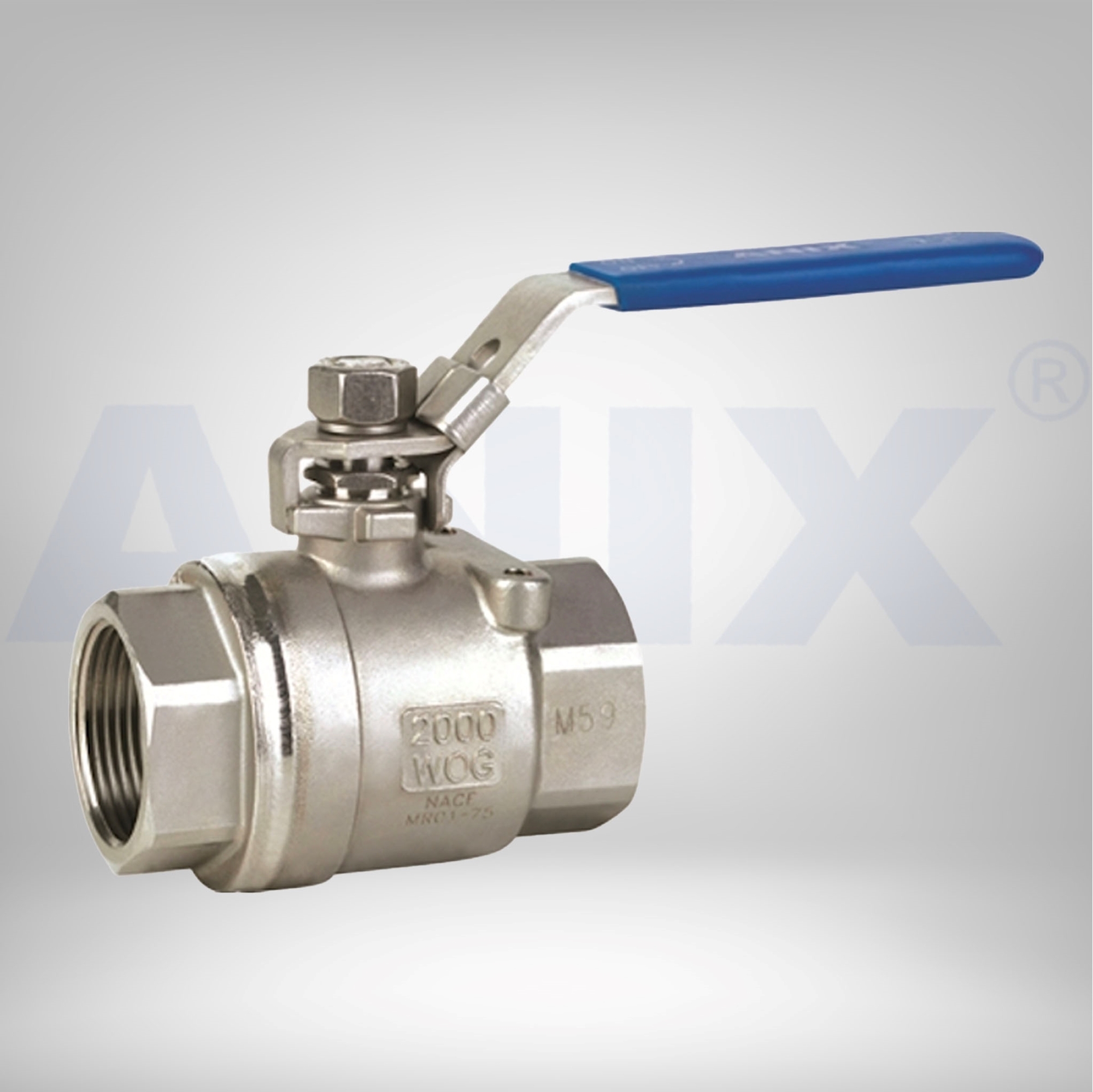 Picture of ANIX Stainless Steel 2-Piece Ball Valve 1000# / 2000# NPT Threaded
