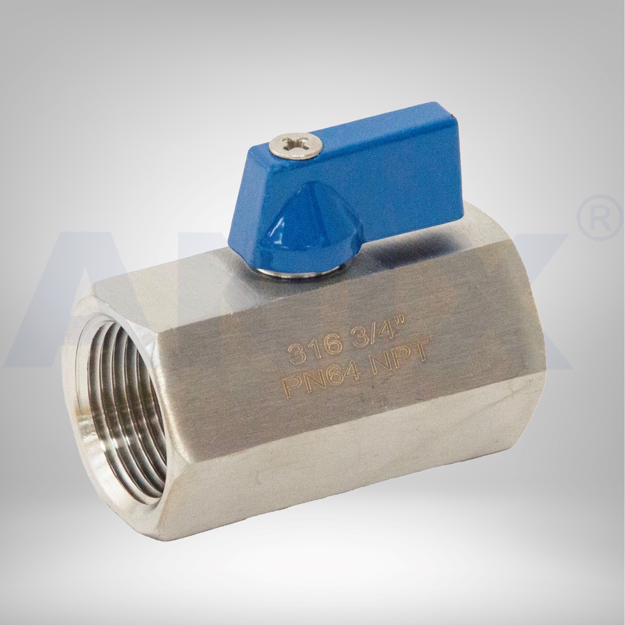 Picture of ANIX Stainless Steel Mini Ball Valve Female x Female 1000# NPT Threaded 