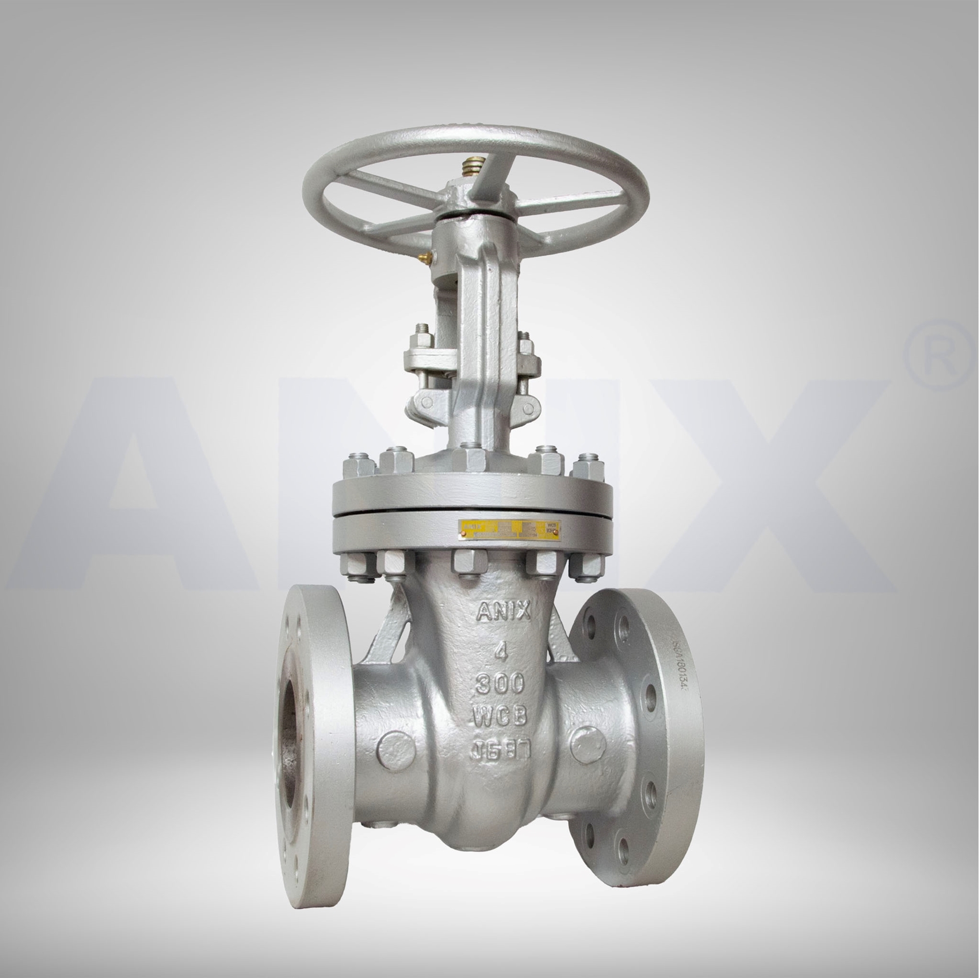 Picture of ANIX Carbon Steel  Gate Valve - RF, Trim 8 Class 150 / 300 / 600