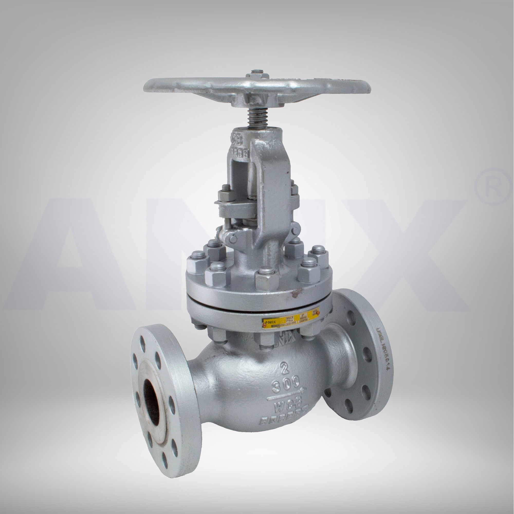 Picture of ANIX Carbon Steel  Globe Valve - RF, Trim 8, Class 150 / 300 / 600