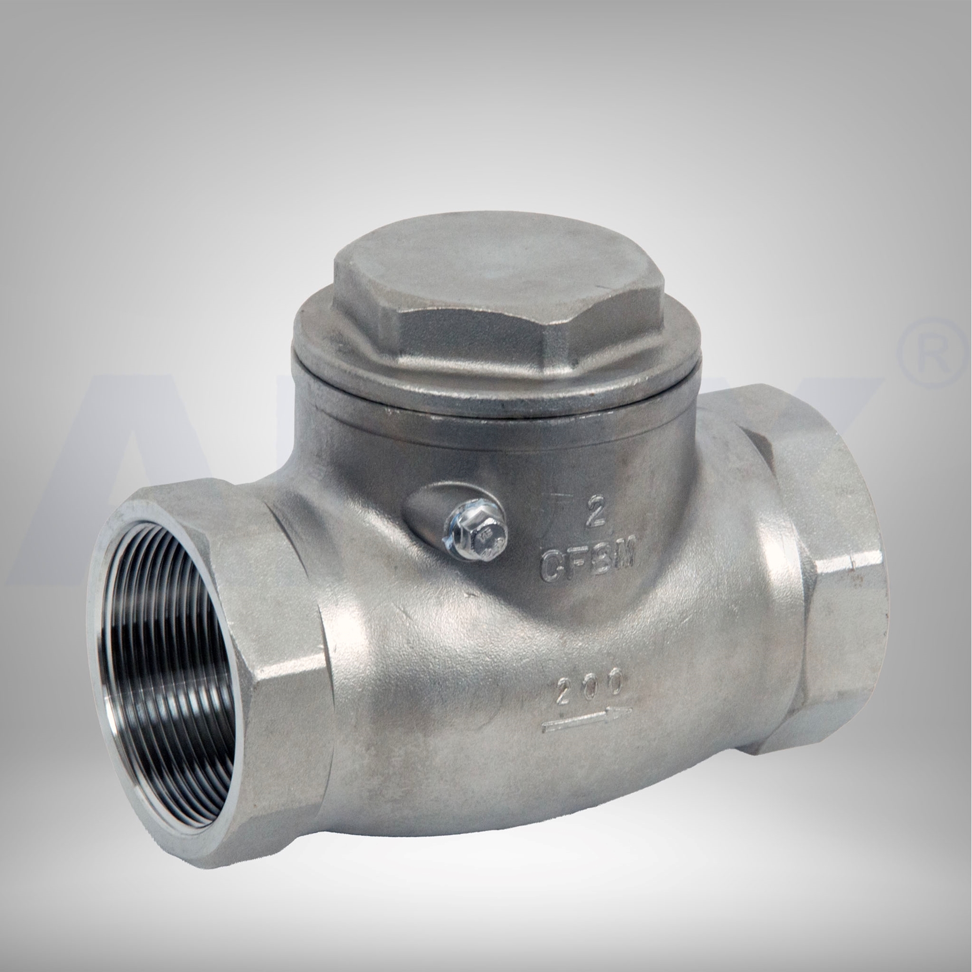 Picture of ANIX Stainless Steel Swing Check Valve Class 200 Threaded NPT
