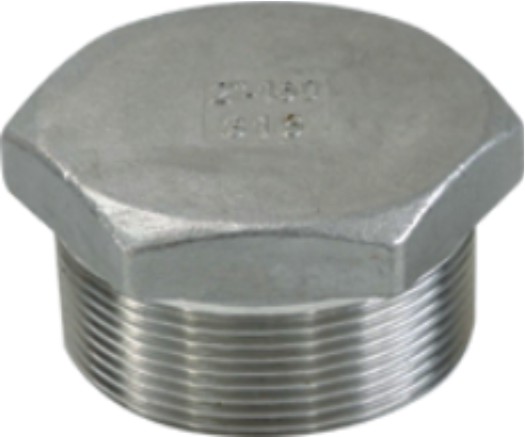 Picture of ANIX Stainless Steel CL150 NPT Hex Plug