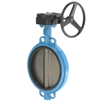 Picture of ANIX Wafer Butterfly Valve DI