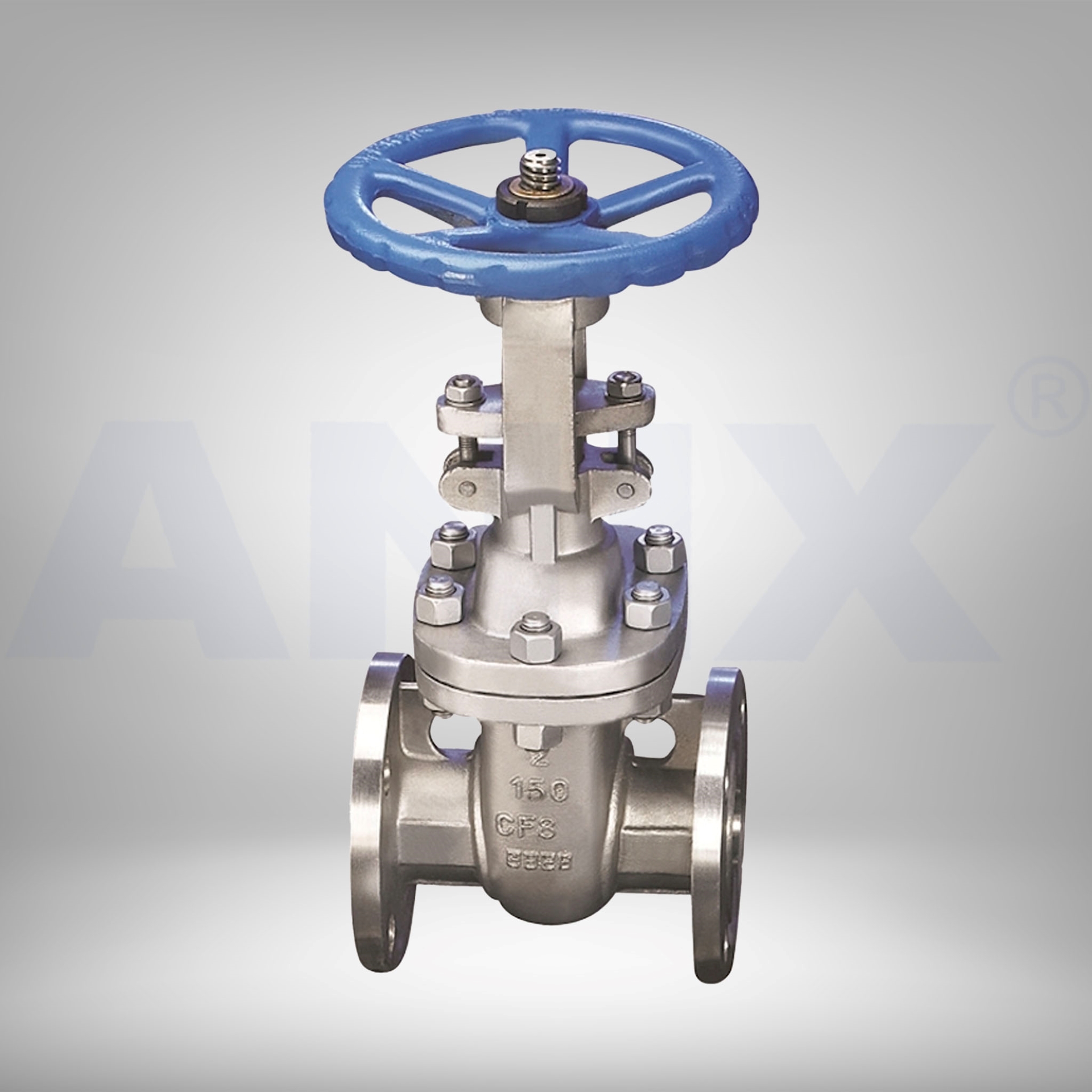 Picture of ANIX Stainless Steel  Gate Valve Class 150 / 300 RF