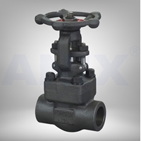 Picture of Forged Steel Gate Valve Threaded Class 800