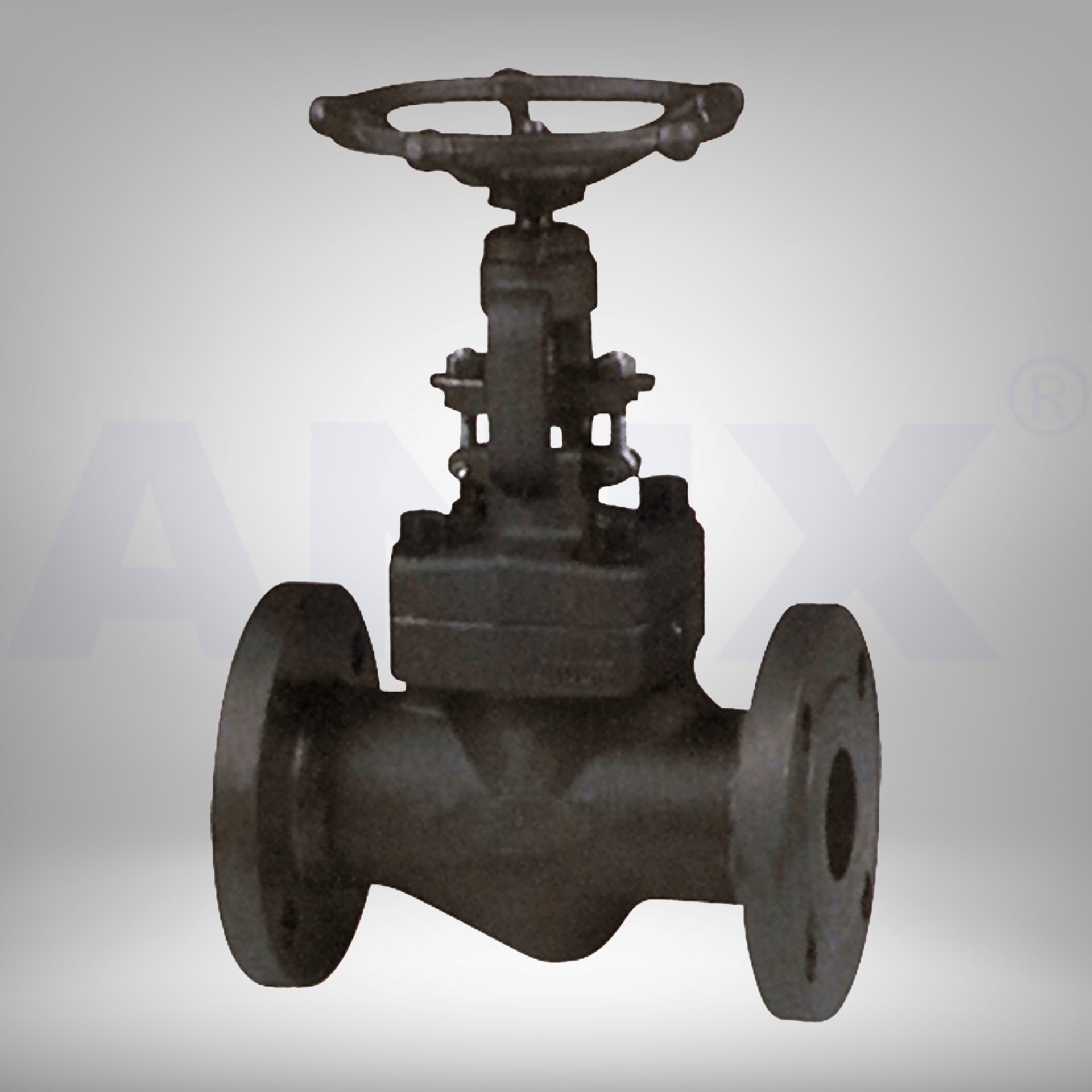 Picture of ANIX Forged Steel Globe Valve Flanged  Class 600 / 300 / 150 