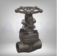 Picture of ANIX Forged Steel Globe Valve Threaded Class 800
