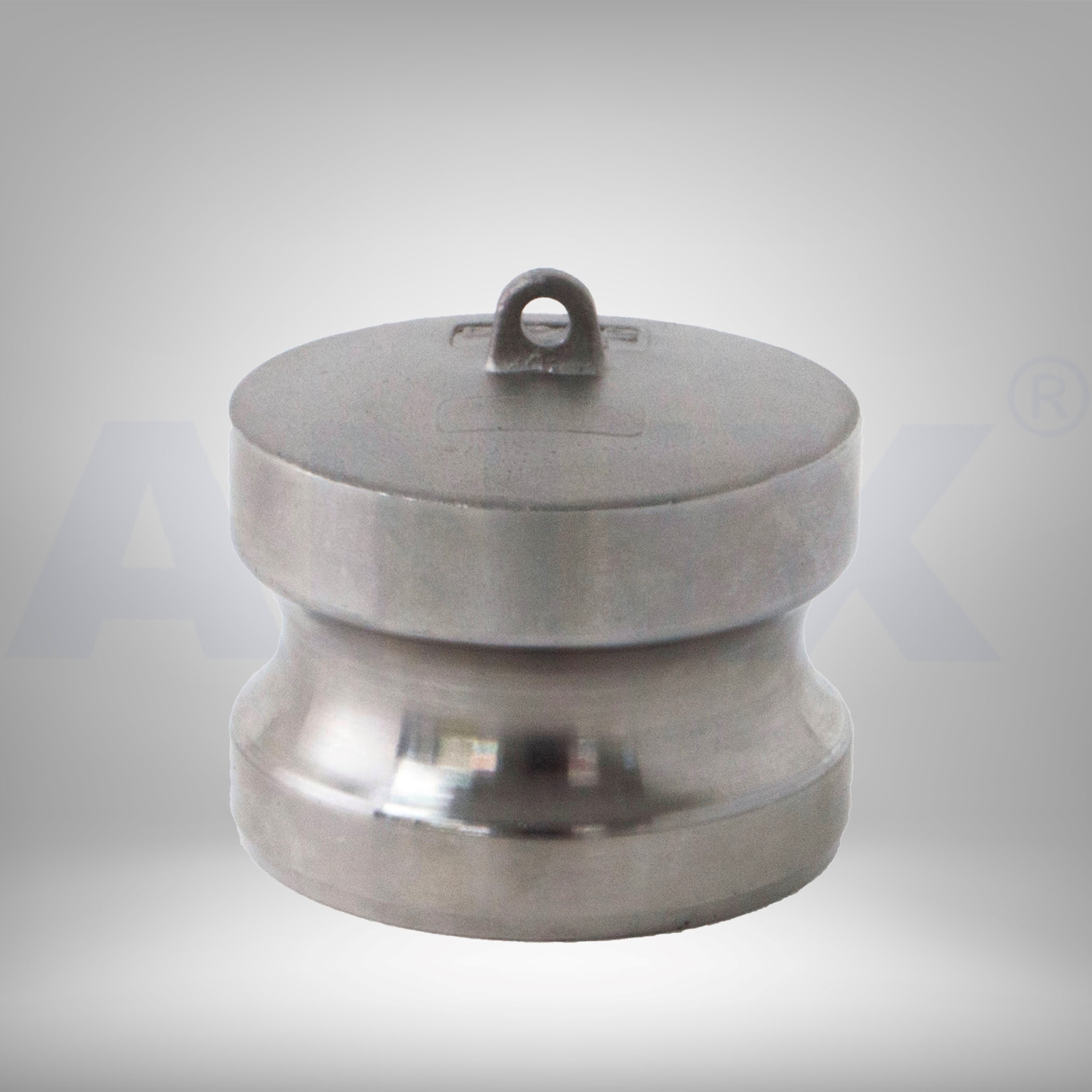 Picture of ANIX Stainless Steel 316 Camlock  Dust Plug Type DP