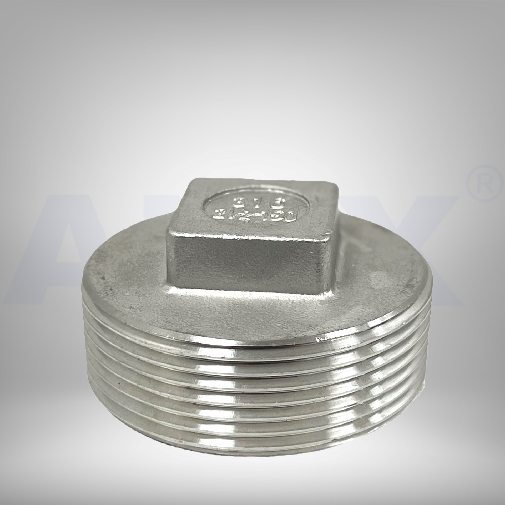 Picture of ANIX Stainless Steel CL150 NPT Square Plug