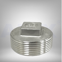 Picture of ANIX Stainless Steel CL150 NPT Square Plug