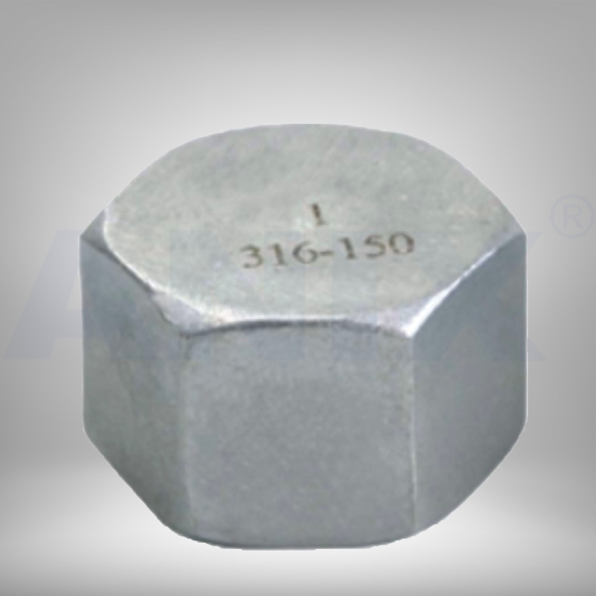 Picture of ANIX Stainless Steel CL150 NPT Hex Cap
