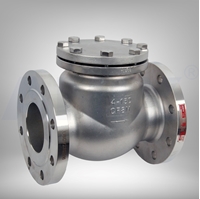 Picture of ANIX Stainless Steel Swing Check Valve Class 150 / 300 RF