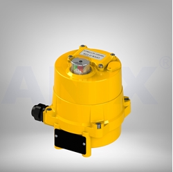 Picture of Smart Electric Actuator