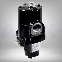 Picture of Explosion Proof Electric Actuator